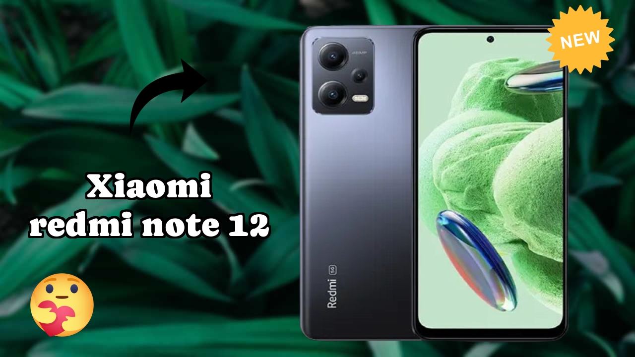 Xiaomi Redmi Note 12 Camera Review: 48 MP + 8 MP + 2 MP Rear Camera Photo Quality